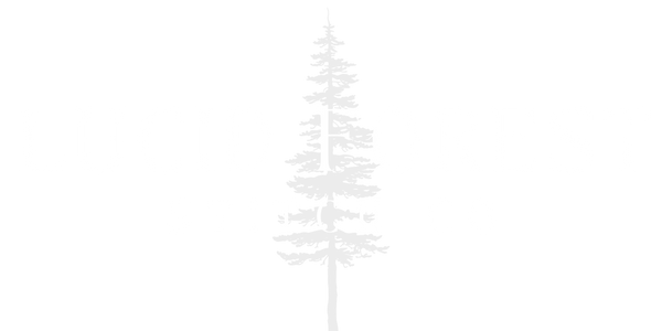 Lucid Forest Stitch Co.